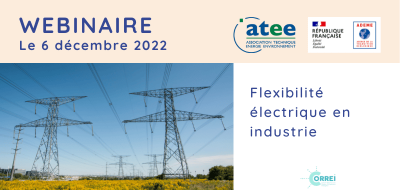 Webinaire flexibilité électrique