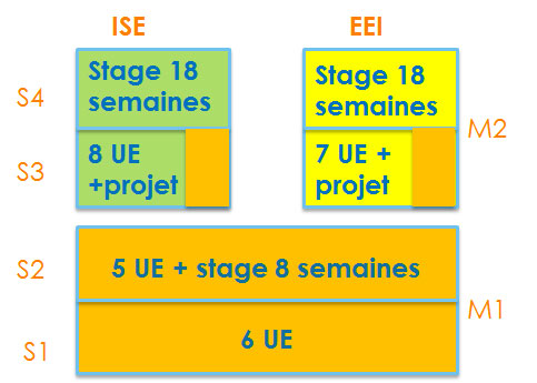 Structure du Master-EEEA