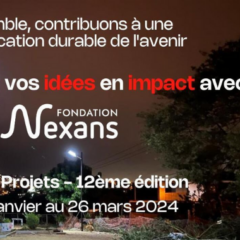 Améliorer l'accès à l'électricité en Afrique avec la Fondation Nexans